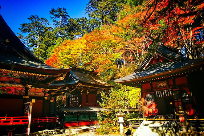 標高1100mに鎮座する神社。日本武尊やお犬様信仰など伝説が残る神の地