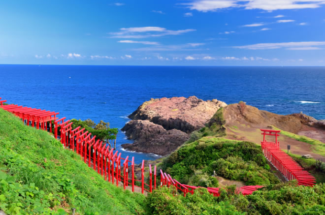 赤い鳥居の帯と美しい日本海、豊かな緑のコントラストに目が奪われる